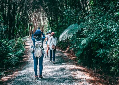 China Outbound Travel Market