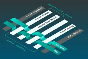 Data Fabric Market