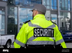 Security Inspection Market