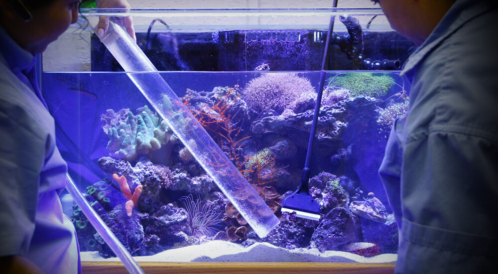 Aquarium Water Treatment Market