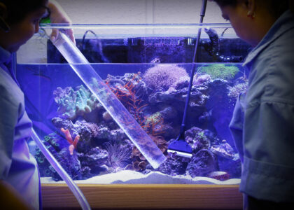 Aquarium Water Treatment Market