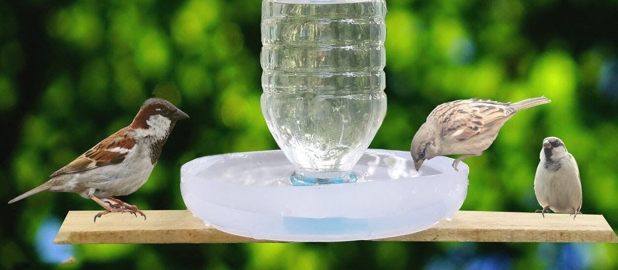Bird Feeding and Water Suppliers Market