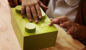 Braille Cartons Packaging Market Share Analysis