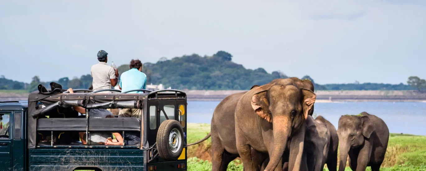 Brazil Safari Tourism Market