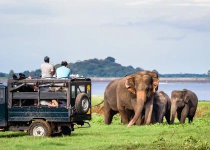 Brazil Safari Tourism Market