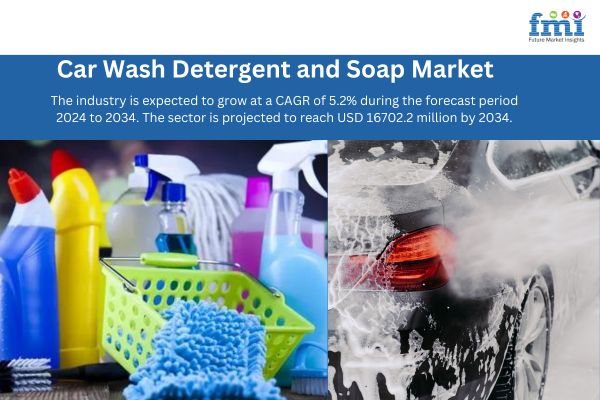 Car Wash Detergent and Soap Market