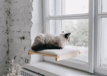 Cat Window Perches & Wall Shelves Market