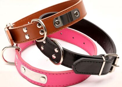 Dog Collars Market