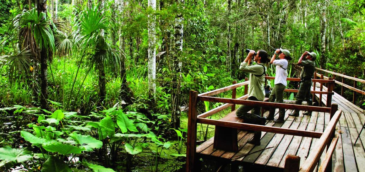 Ethno Tourism Community Based Eco Tourism Market