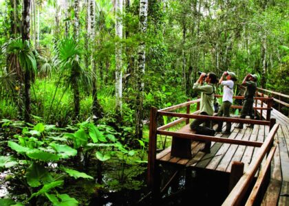 Ethno Tourism Community Based Eco Tourism Market