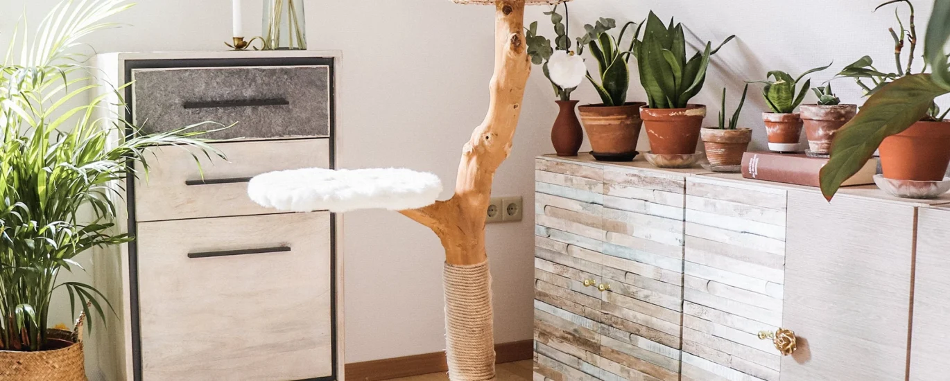 Modern Cat Furniture Market
