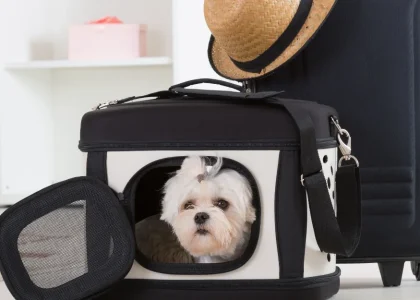 Pet Carriers Market