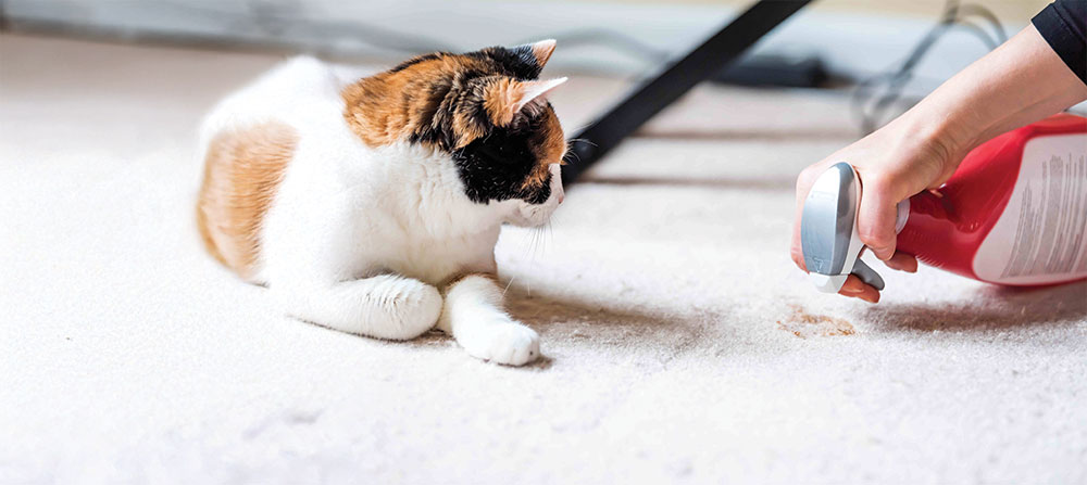 Pet Safe Cleaners Market