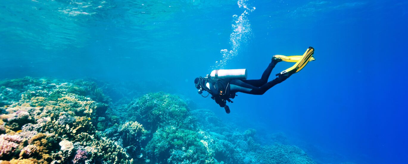 UK Diving Tourism Market