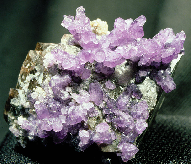 Carbonated Mineral Market