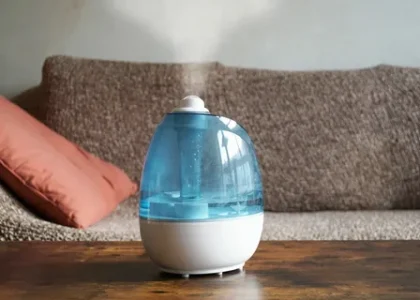 Humidifier Market