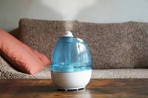 Humidifier Market