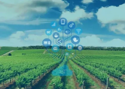 Smart Agriculture Solution Market
