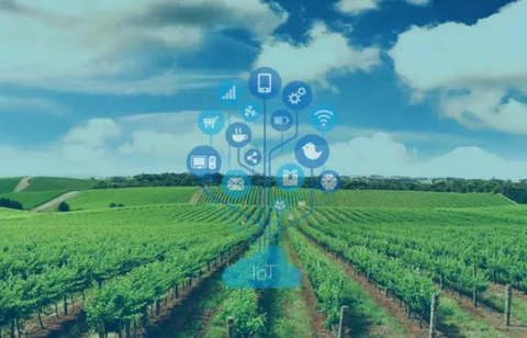 Smart Agriculture Solution Market
