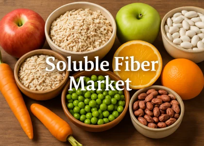 Soluble Fiber Market