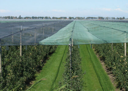 Agricultural Nets Market