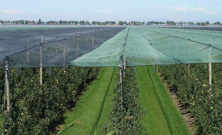 Agricultural Nets Market
