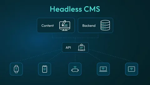 Headless CMS Software Market