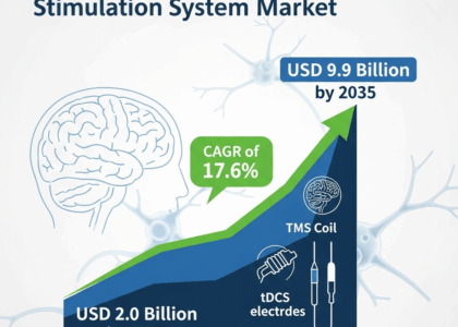 Non-Invasive Brain Stimulation System Market