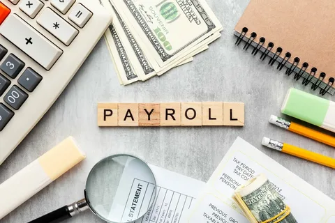 Payroll and HR Solution and Services Market