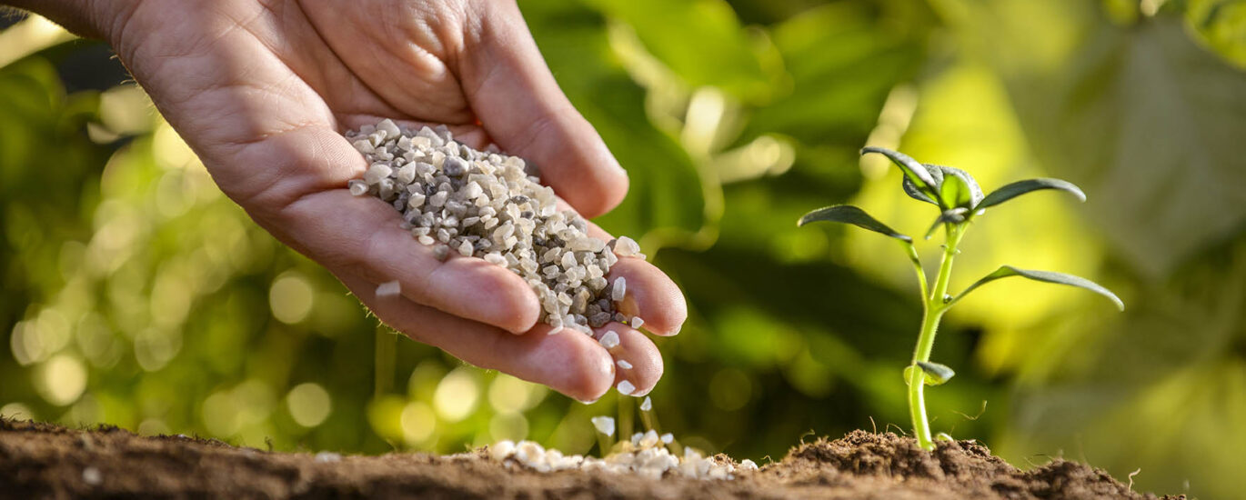 Agricultural Secondary Nutrients Market