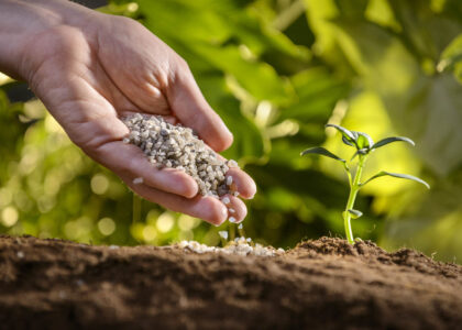 Agricultural Secondary Nutrients Market