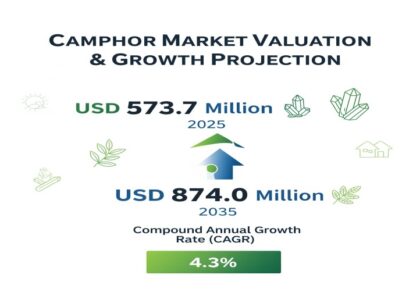Camphor Market