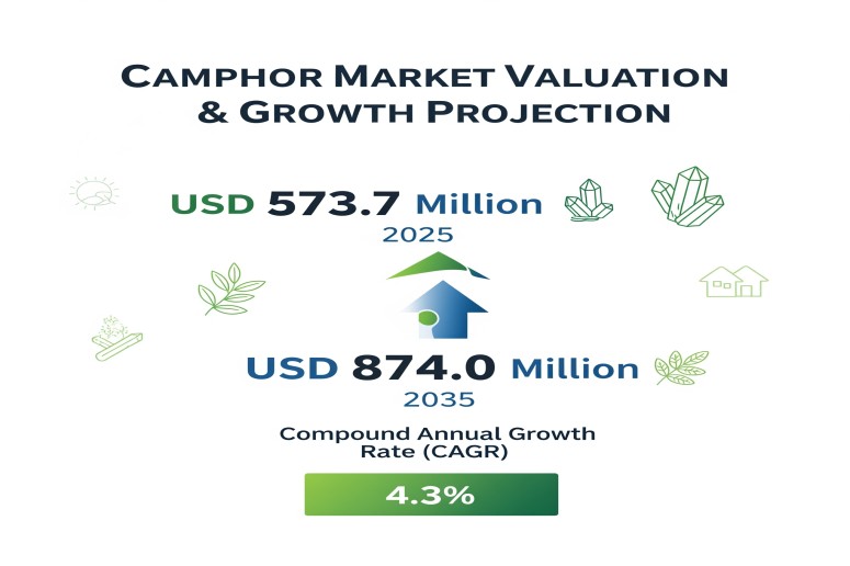 Camphor Market