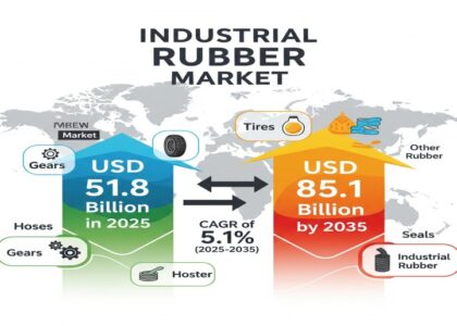 Industrial Rubber Market