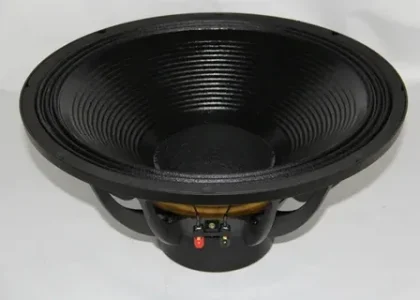 Loudspeaker Subwoofer Market
