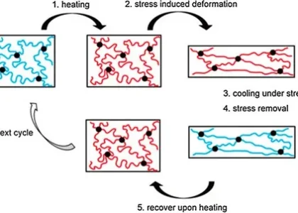 Polymer Memory Market
