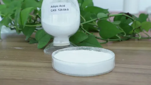 India Adipic Acid Market