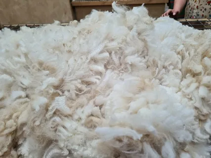 ASEAN Alpaca Fiber Market