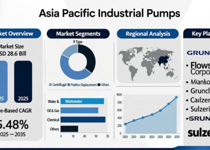 Asia Pacific Industrial Pumps Market