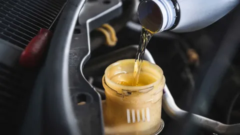Automotive Brake Fluid Market