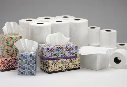 B2B Hygienic Paper Market