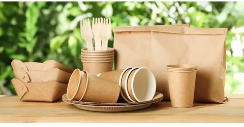 Biodegradable Polyamide Market

