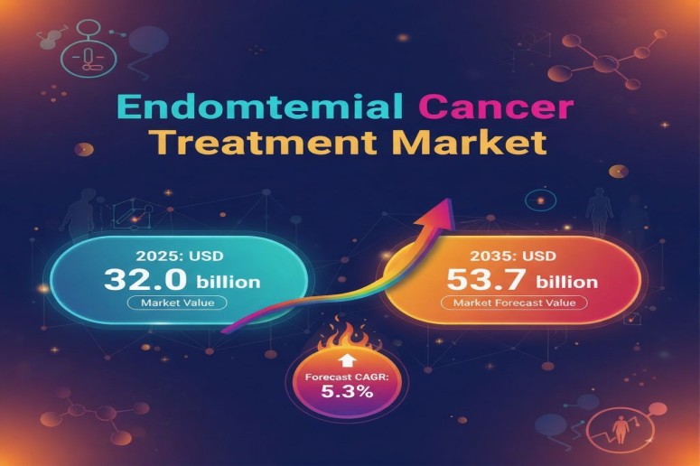 Endometrial Cancer Treatment Market