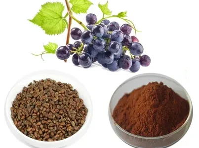 Grape Seed Extracts Market