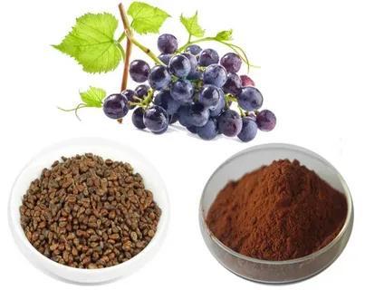 Grape Seed Extracts Market