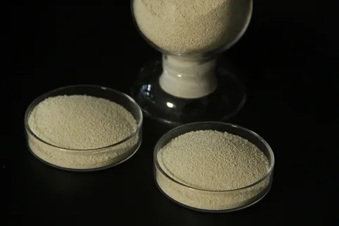 L-Lysine Hydrochloride (HCL) Market