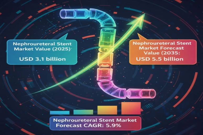 Nephroureteral Stent Market