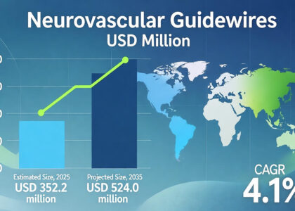 Neurovascular Guidewires Market