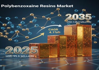 Polybenzoxazine Resins Market