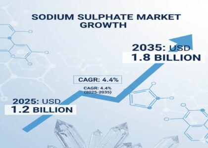 Sodium Sulphate Market
